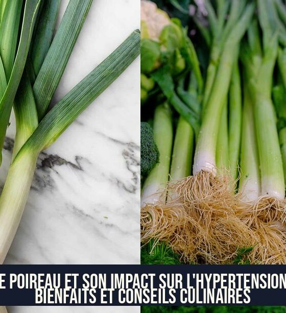 Le poireau et son impact sur l'hypertension : bienfaits et conseils culinaires