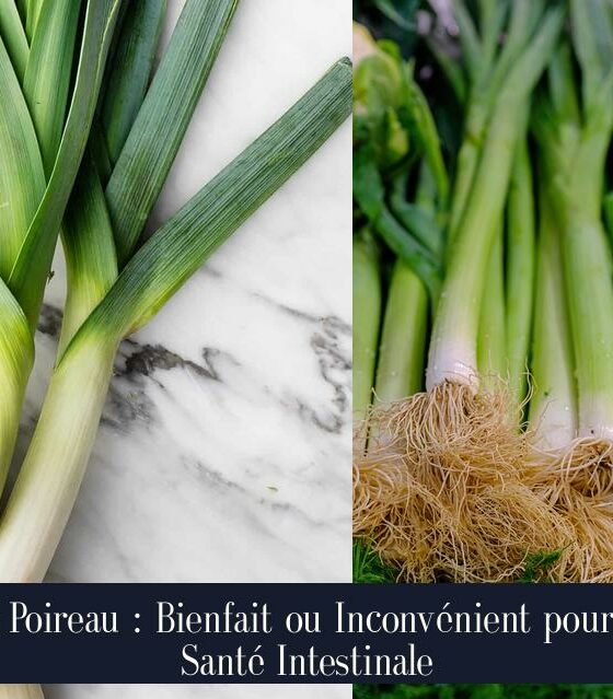 Le Poireau : Bienfait ou Inconvénient pour la Santé Intestinale