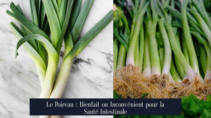 Le Poireau : Bienfait ou Inconvénient pour la Santé Intestinale