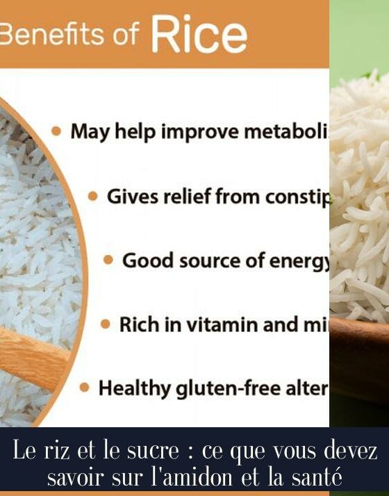 Le riz et le sucre : ce que vous devez savoir sur l'amidon et la santé