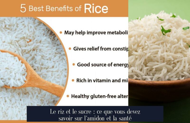 Le riz et le sucre : ce que vous devez savoir sur l'amidon et la santé