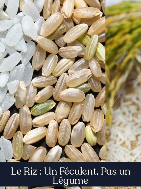 Le Riz : Un Féculent, Pas un Légume