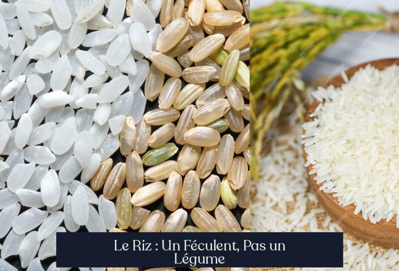 Le Riz : Un Féculent, Pas un Légume