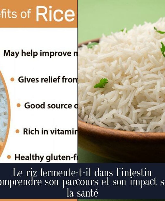 Le riz fermente-t-il dans l'intestin Comprendre son parcours et son impact sur la santé
