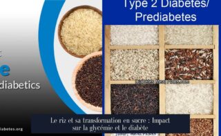 Le riz et sa transformation en sucre : Impact sur la glycémie et le diabète