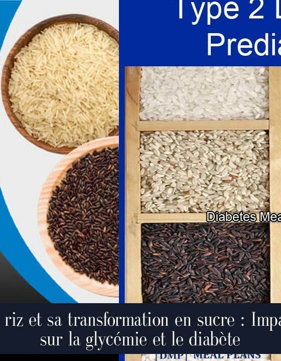 Le riz et sa transformation en sucre : Impact sur la glycémie et le diabète