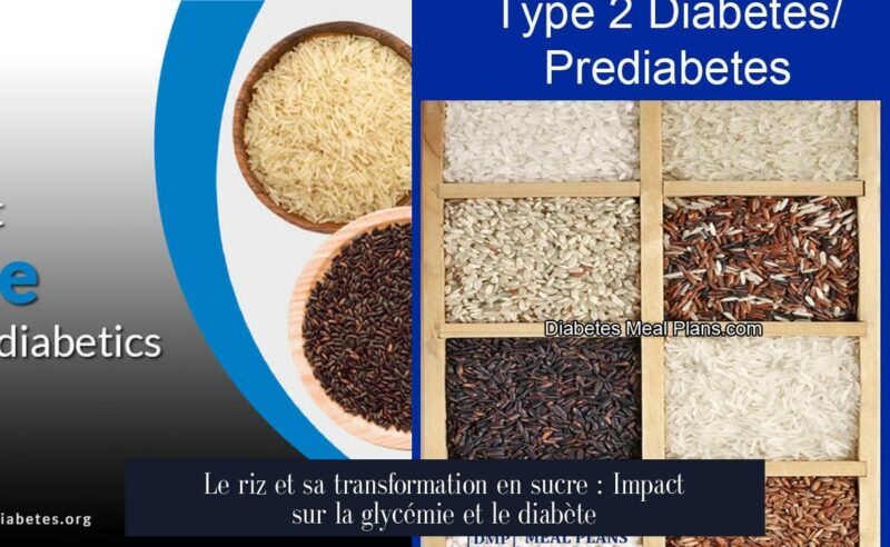 Le riz et sa transformation en sucre : Impact sur la glycémie et le diabète