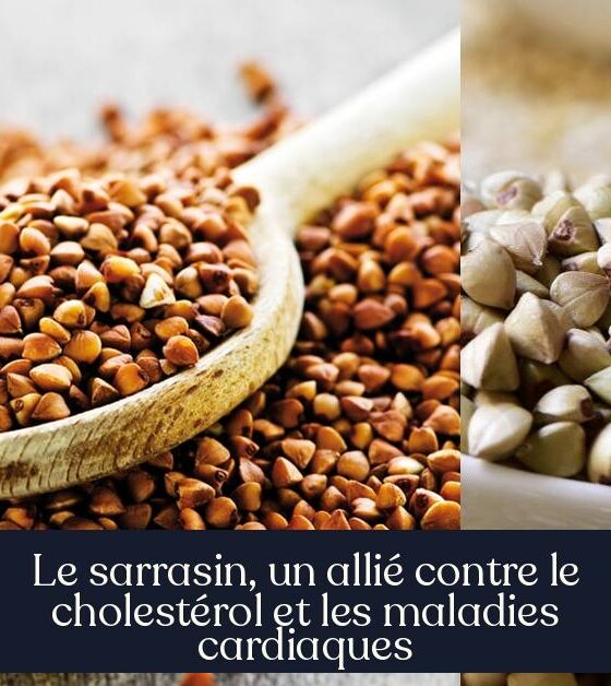 Le sarrasin, un allié contre le cholestérol et les maladies cardiaques
