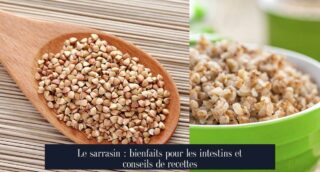 Le sarrasin : bienfaits pour les intestins et conseils de recettes