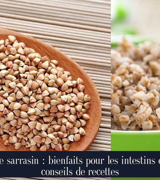 Le sarrasin : bienfaits pour les intestins et conseils de recettes