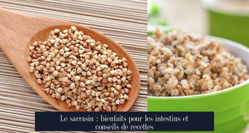 Le sarrasin : bienfaits pour les intestins et conseils de recettes