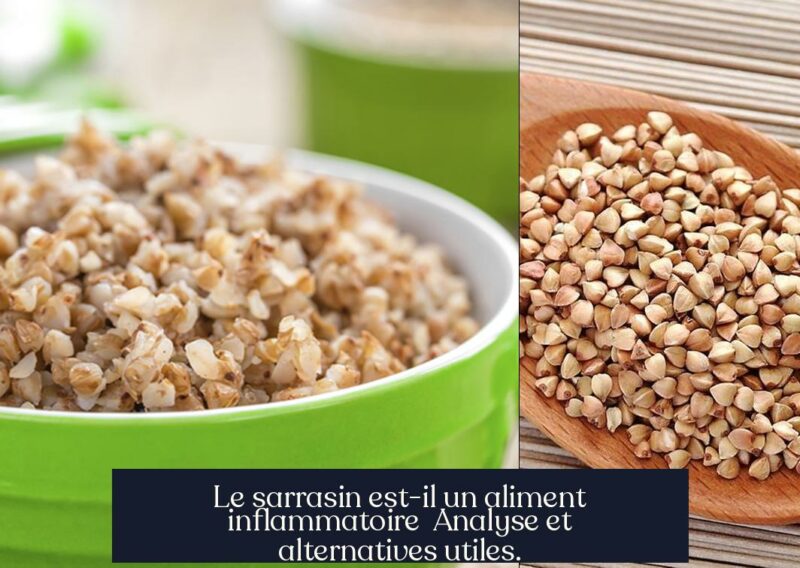 Le sarrasin est-il un aliment inflammatoire Analyse et alternatives utiles.