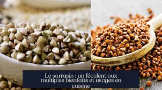 Le sarrasin : un féculent aux multiples bienfaits et usages en cuisine