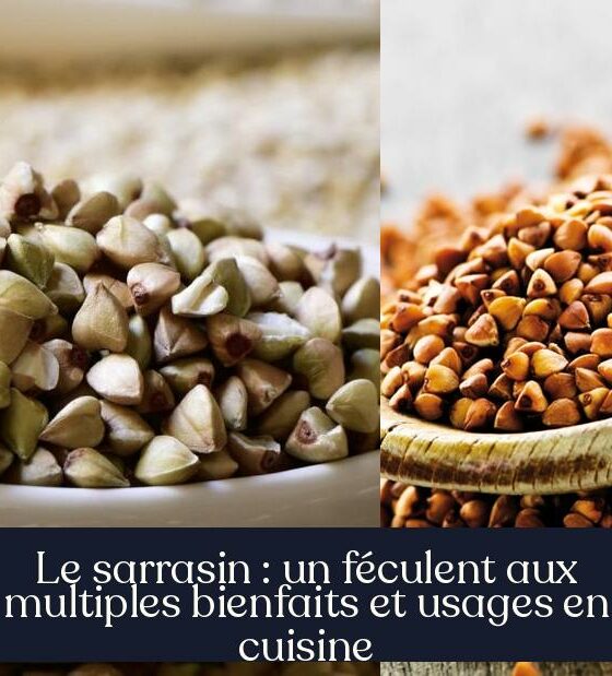 Le sarrasin : un féculent aux multiples bienfaits et usages en cuisine