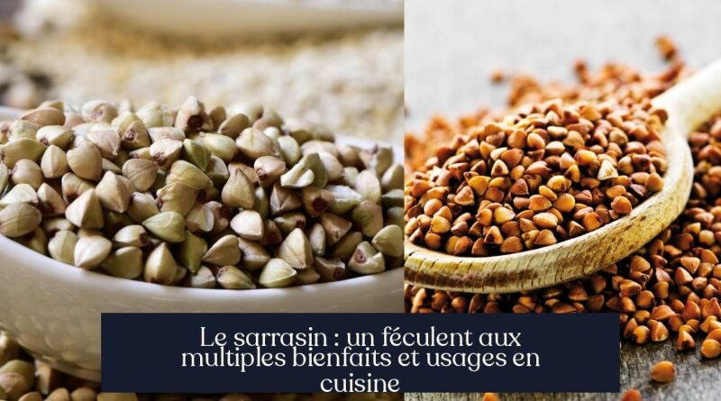 Le sarrasin : un féculent aux multiples bienfaits et usages en cuisine