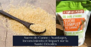 Sucre de Canne : Avantages, Inconvénients et Impact sur la Santé Dévoilés