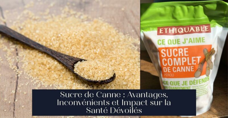 Sucre de Canne : Avantages, Inconvénients et Impact sur la Santé Dévoilés