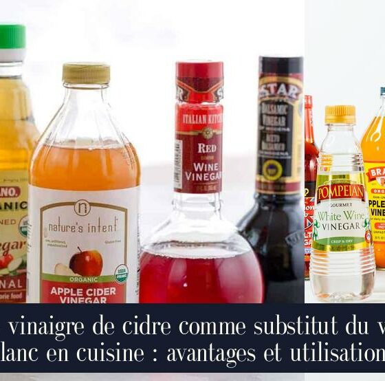 Le vinaigre de cidre comme substitut du vin blanc en cuisine : avantages et utilisations