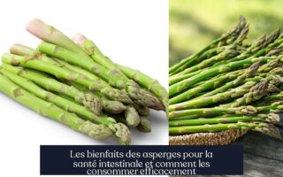 Les bienfaits des asperges pour la santé intestinale et comment les consommer efficacement