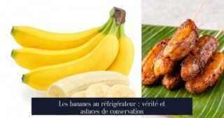 Les bananes au réfrigérateur : vérité et astuces de conservation