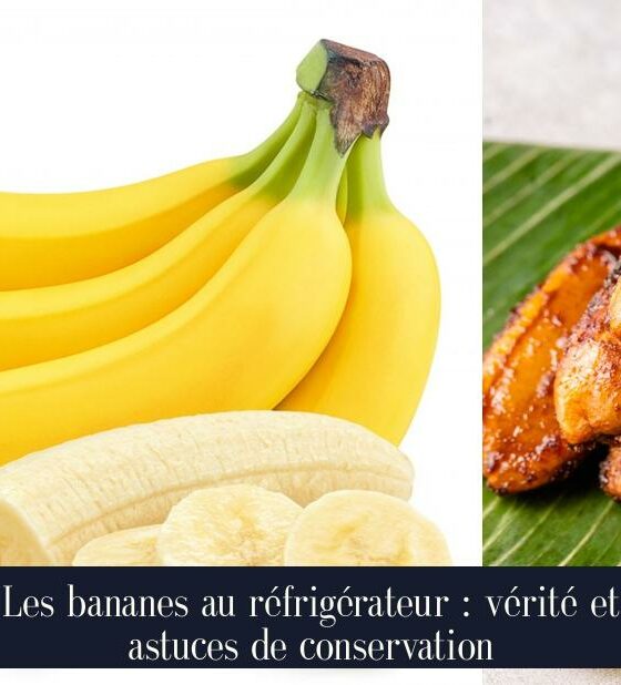 Les bananes au réfrigérateur : vérité et astuces de conservation