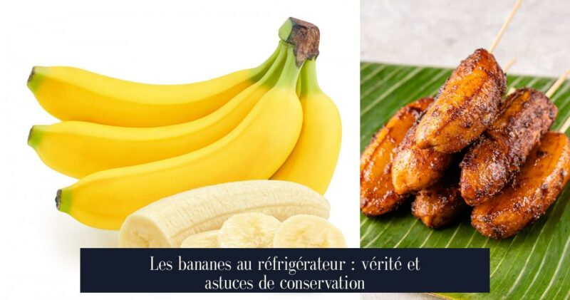 Les bananes au réfrigérateur : vérité et astuces de conservation