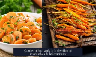 Carottes cuites : amis de la digestion ou responsables de ballonnements
