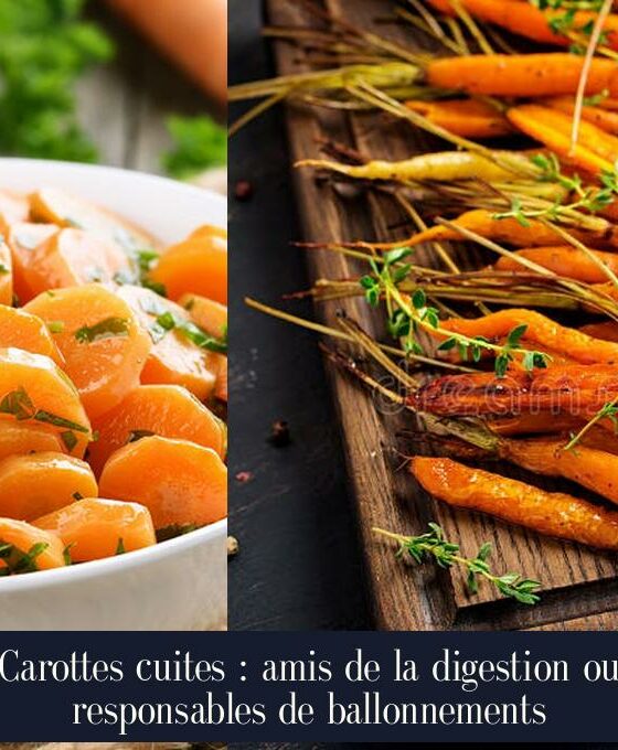 Carottes cuites : amis de la digestion ou responsables de ballonnements