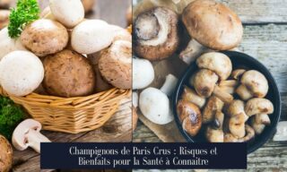 Champignons de Paris Crus : Risques et Bienfaits pour la Santé à Connaitre