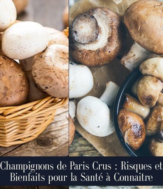 Champignons de Paris Crus : Risques et Bienfaits pour la Santé à Connaitre