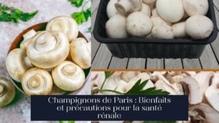 Champignons de Paris : Bienfaits et précautions pour la santé rénale
