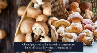 Champignons et ballonnements : comprendre leurs effets sur le ventre et comment les éviter