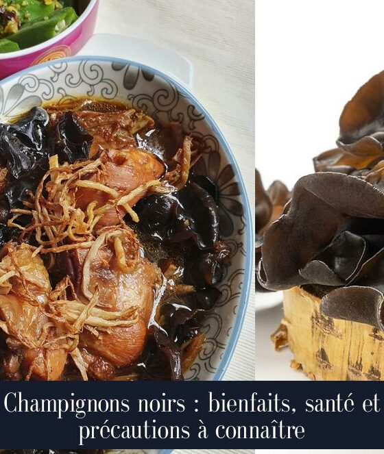 Champignons noirs : bienfaits, santé et précautions à connaître