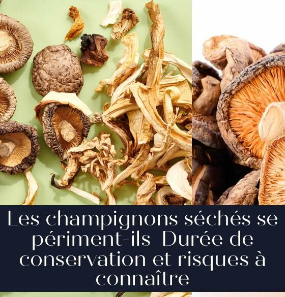Les champignons séchés se périment-ils Durée de conservation et risques à connaître
