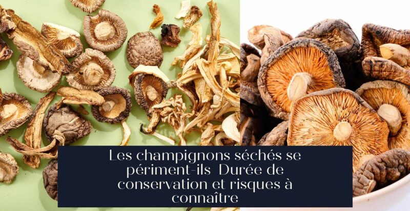 Les champignons séchés se périment-ils Durée de conservation et risques à connaître