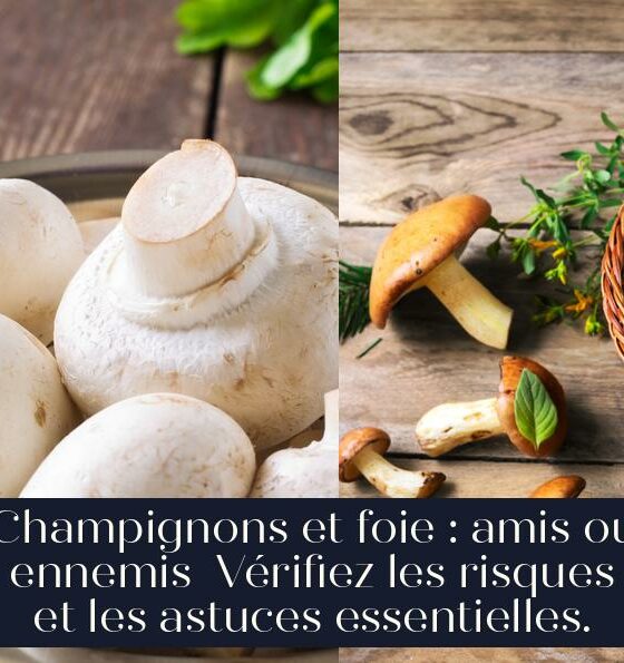 Champignons et foie : amis ou ennemis Vérifiez les risques et les astuces essentielles.