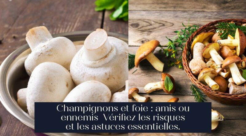 Champignons et foie : amis ou ennemis Vérifiez les risques et les astuces essentielles.