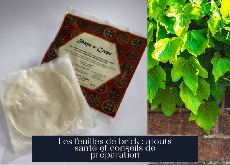 Les feuilles de brick : atouts santé et conseils de préparation