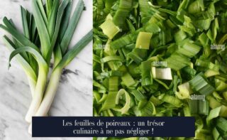 Les feuilles de poireaux : un trésor culinaire à ne pas négliger !