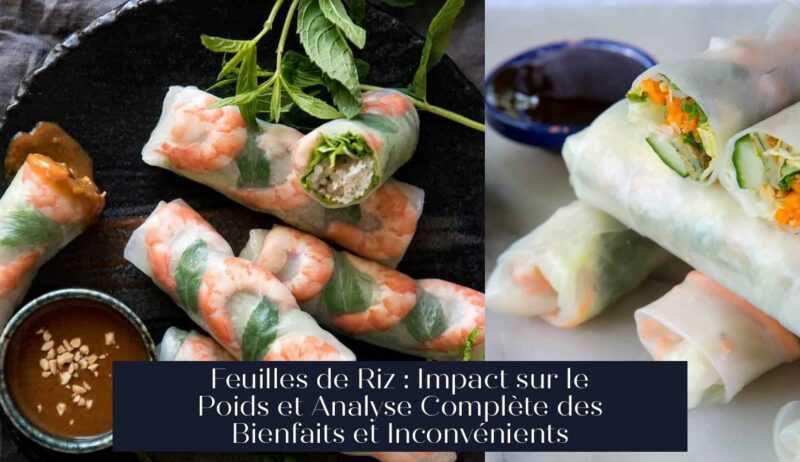 Feuilles de Riz : Impact sur le Poids et Analyse Complète des Bienfaits et Inconvénients