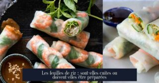 Les feuilles de riz : sont-elles cuites ou doivent-elles être préparées