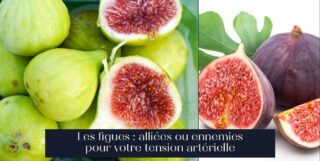 Les figues : alliées ou ennemies pour votre tension artérielle