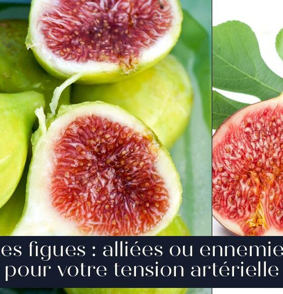Les figues : alliées ou ennemies pour votre tension artérielle