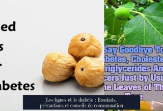 Les figues et le diabète : Bienfaits, précautions et conseils de consommation