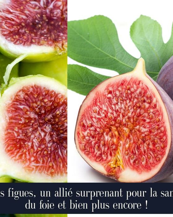 Les figues, un allié surprenant pour la santé du foie et bien plus encore !