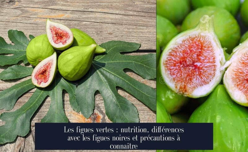 Les figues vertes : nutrition, différences avec les figues noires et précautions à connaître