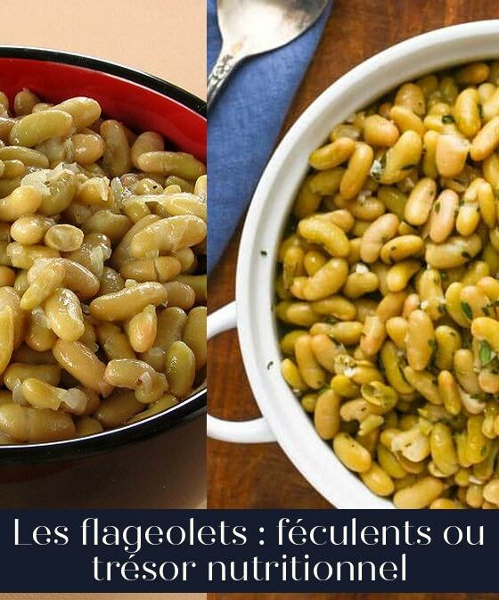 Les flageolets : féculents ou trésor nutritionnel