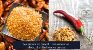 Les graines de piment : Consommation, effets, et utilisations en cuisine