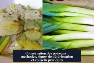 Conservation des poireaux : méthodes, signes de détérioration et conseils pratiques