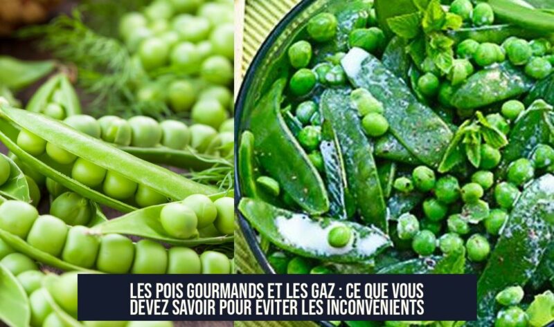 Les Pois Gourmands et les Gaz : Ce Que Vous Devez Savoir pour Éviter les Inconvénients